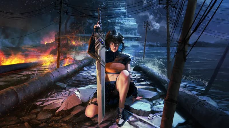 Full art for Human Made